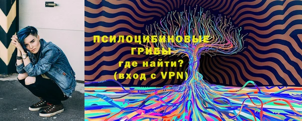 apvp Беломорск