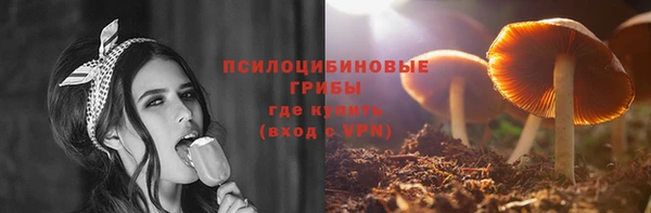 кокаин Белокуриха