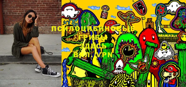 кокаин Белокуриха