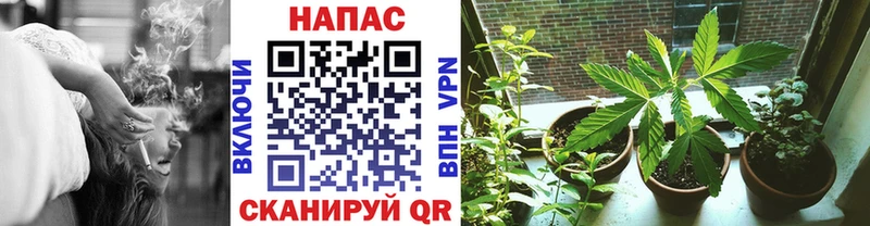 Конопля гибрид  Купить  Бугульма 
